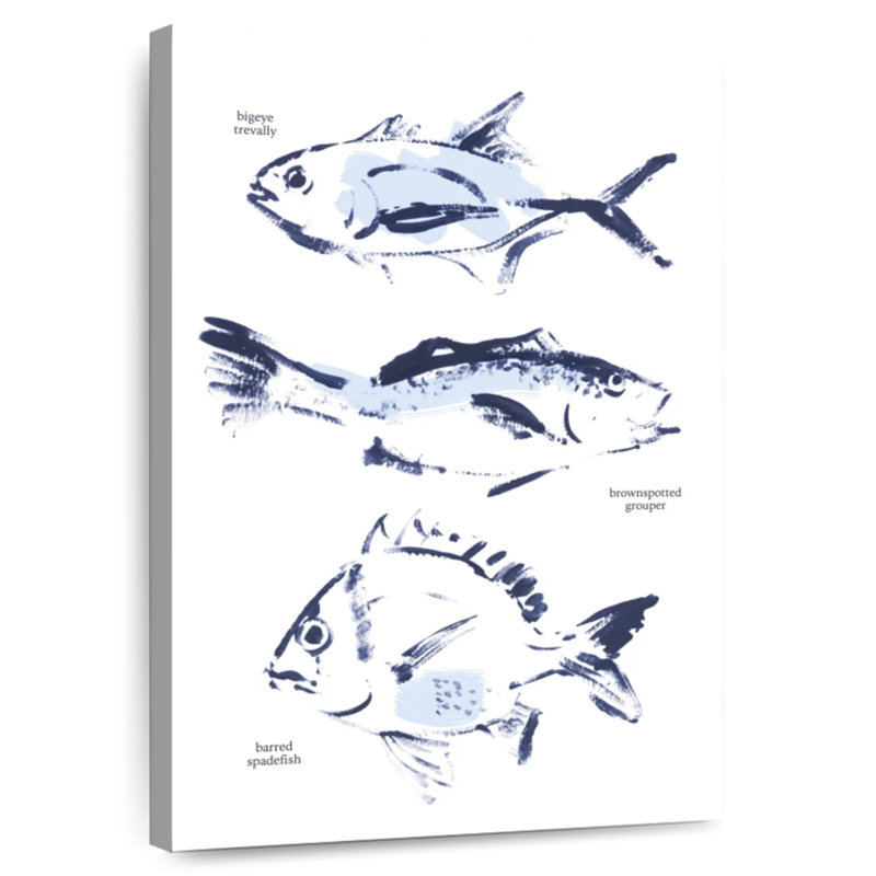 Brampt Fish Sketches, 12" H x 8" W