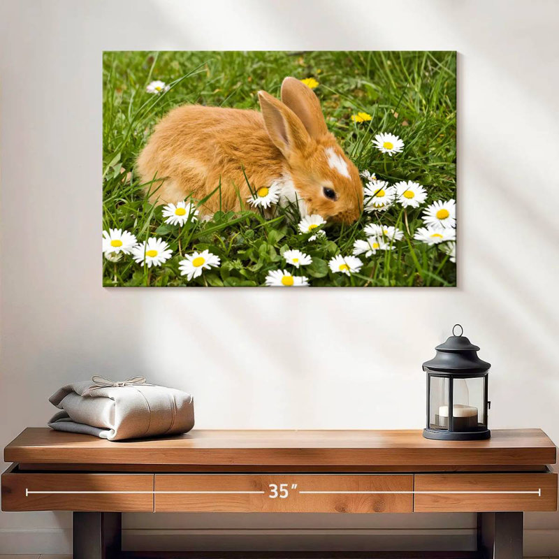 Brampt marguerites et lapin, H 16 po x l 24 po