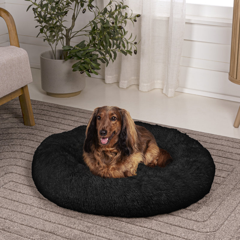 Lit rond pour animal de compagnie Maisie, Très petit (l 19 po x P 19 po x H 3,25 po), Encre