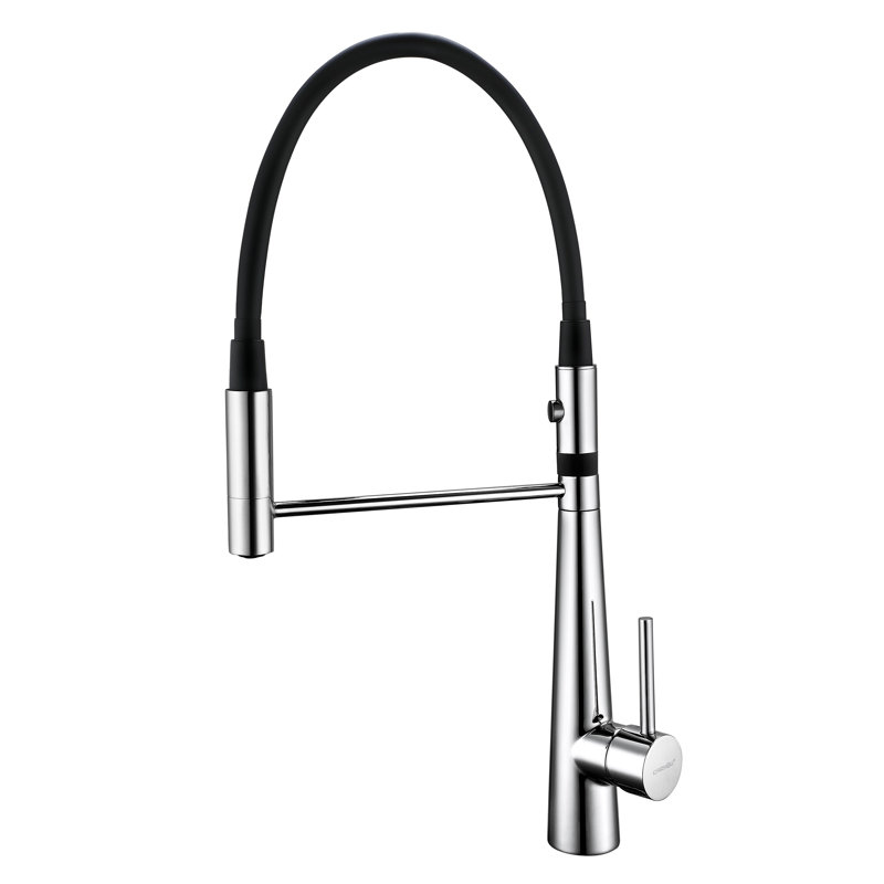 New Spec Inc Jasmine Kitchen Faucet, Chrome
