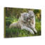 Couple de tigres, art mural, reproduction de couple de tigres-703381279