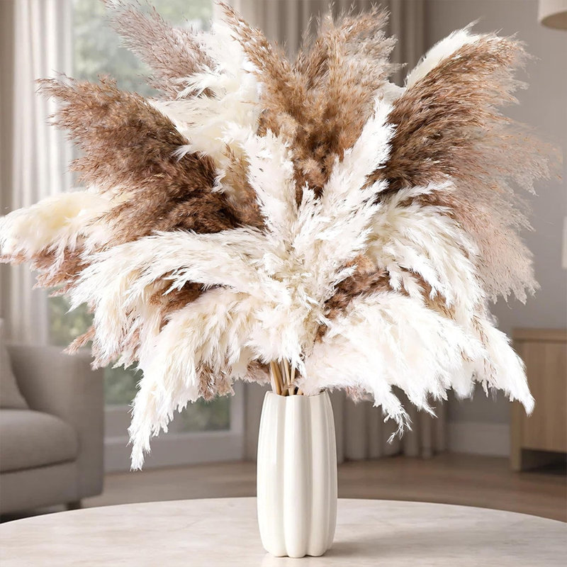 20 pièces Boho Decor, pelucheux herbe de Pompas, herbe de Pampas naturelle sèche petite, courte vrac Pampass pour Boho Room Decor, décoration de table basse (17 pouces)