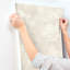Papier peint botanique gris clair Izara-1011778225