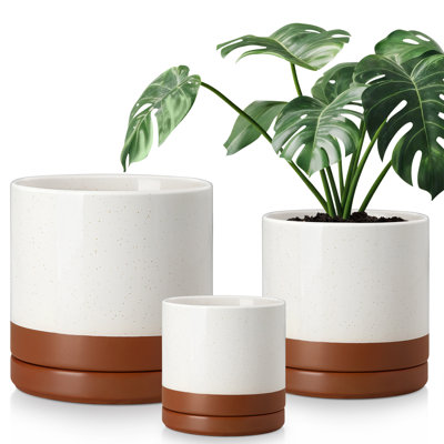 FLHPOT Ceramic Pot Planter