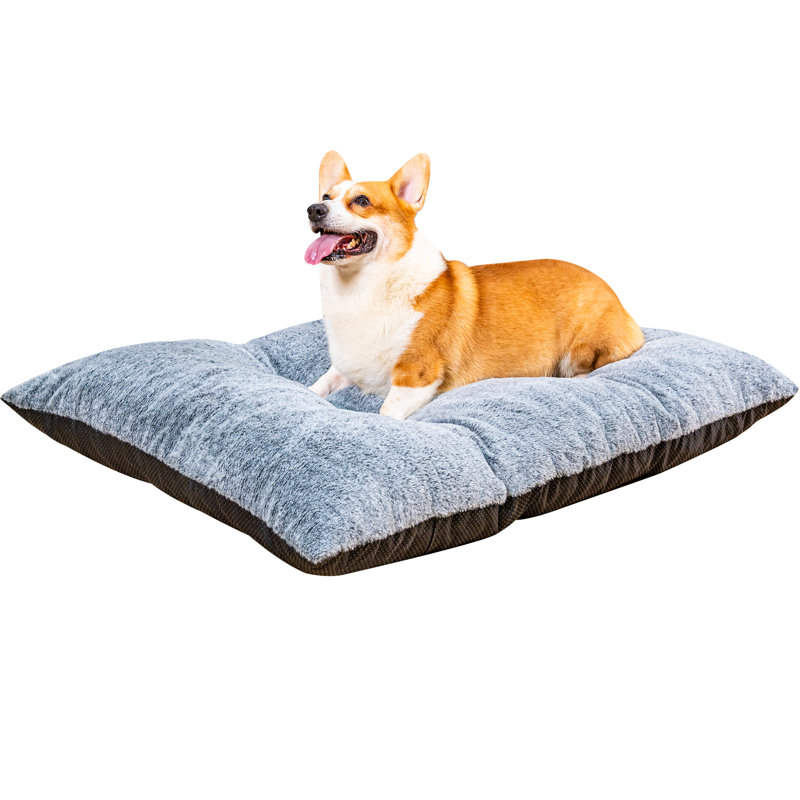 Coussin de lit imperméable en mousse viscoélastique pour chien, H 5,31 po x l 21,65 po x P 43,7 po