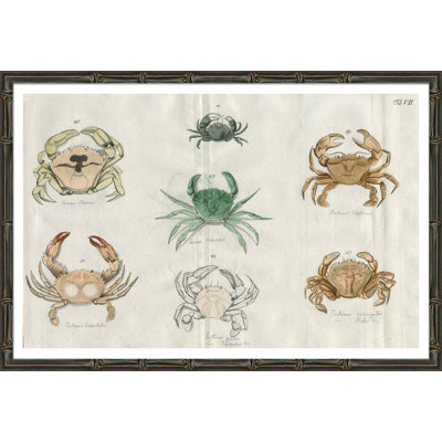 Summer Crabs Giclee Print by Soicher Marin Archives