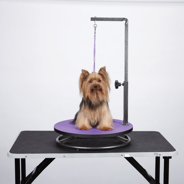 Table de nettoyage pour petit chien petedge, Mauve
