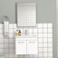 Ensemble de meuble-lavabo avec lavabo et miroir, conception murale, portes doubles, charnières à fermeture en douceur, longues poignées en métal, lavabo en céramique