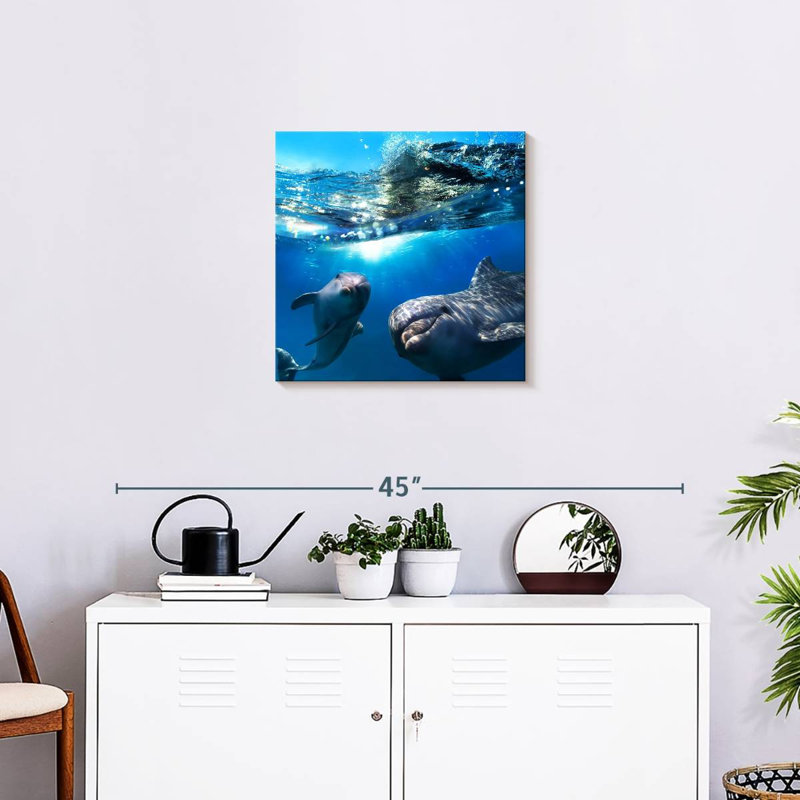 Brampt Playful Dolphins, 20" H x 20" W