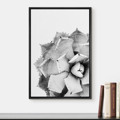 " Spiked Desert Rose Succulent "
