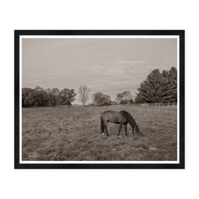 Grazing I Print by Tim Klein