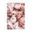 Photographie de roses florales sur toile-90733263
