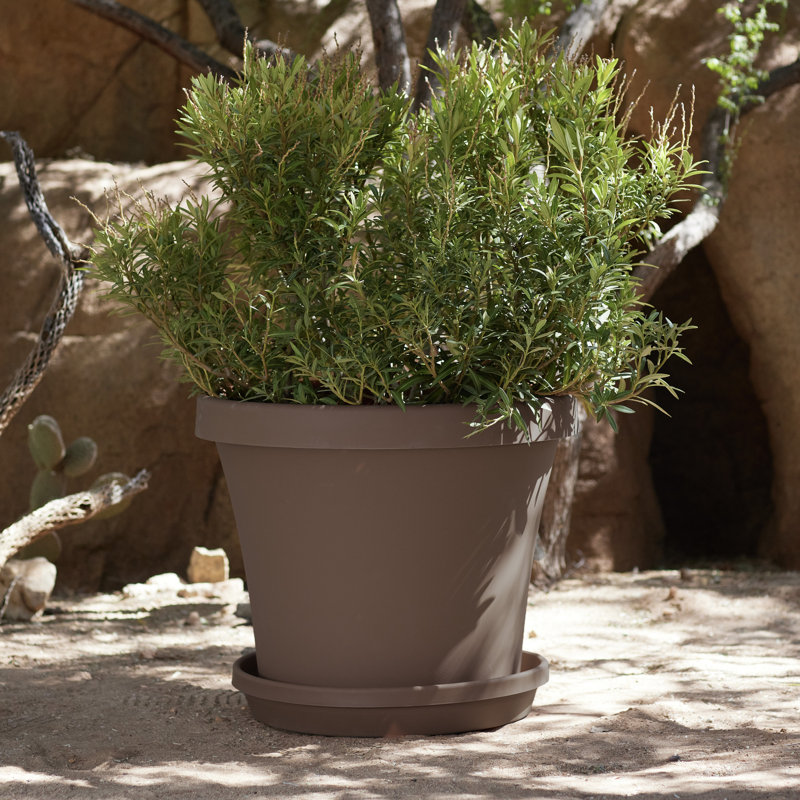 Pot à fleur intérieur / extérieur en plastique Terra, Chocolat, H 12,75 po x l 15 po x P 15 po