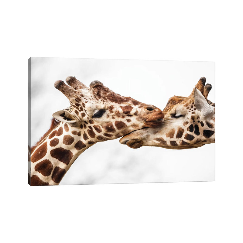 Love by Goran Anastasovski - Wrapped Canvas Print, 66.04 cm H x 45.72 cm W x 3.175 cm D