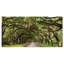 Live Oak Tunnel - Imprimé-1604748975-1597033605