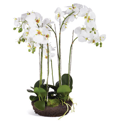 Stiles Faux Flowering Plant