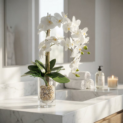 Orchids Arranged in Glass Vase with Rocks