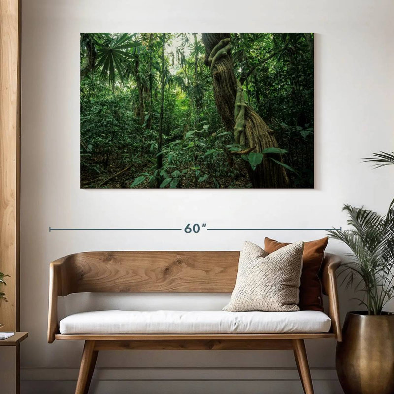 Forêt tropicale Alvord Monteverde, H 32 po x l 48 po