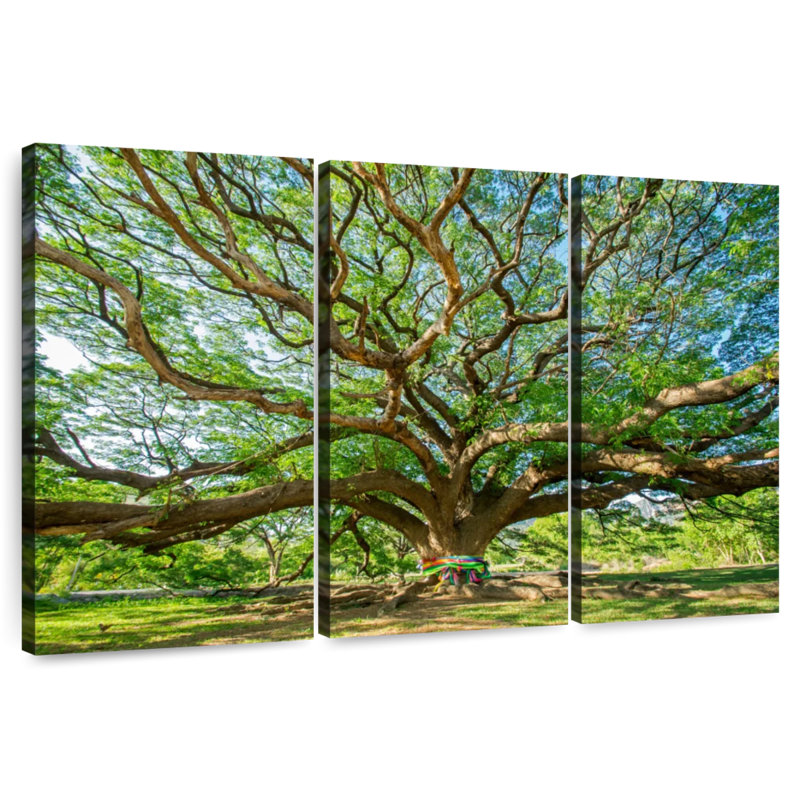 Harnek Old Tree, 42" H x 65" W