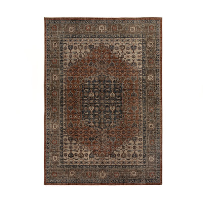 Prato Oriental Area Rug in Prato