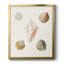 Toile encadrée Pastel Knorr Shells-350724587-350724596