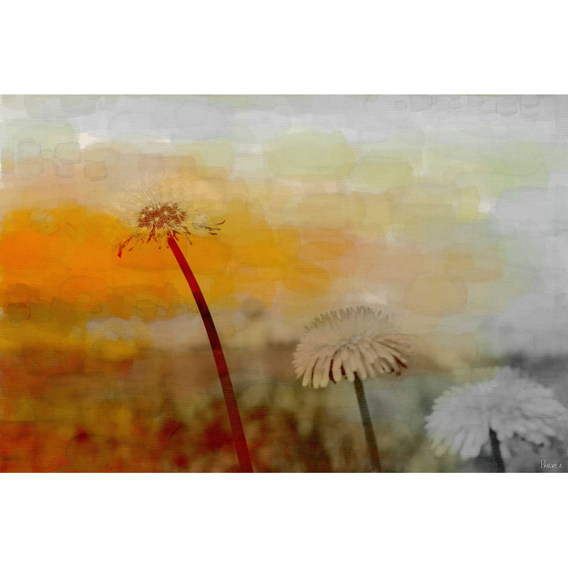 Daisy Sleep by Parvez Taj - Wrapped Canvas Print, 76cm H x 152cm W