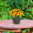 Ailynn Round Imperial Ceramic Outdoor Planter-1857609947-1857609945