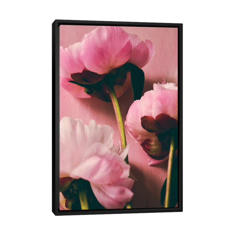 «Pink Peony II», impression sur toile, H 26 po x l 18 po x P 1,5 po, Toile avec cadre noir, Pas de tapis