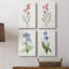 Delicate Pink I - ensemble de 4 peintures sur toile tendue-659347964