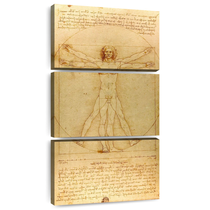 The Vitruvian Man