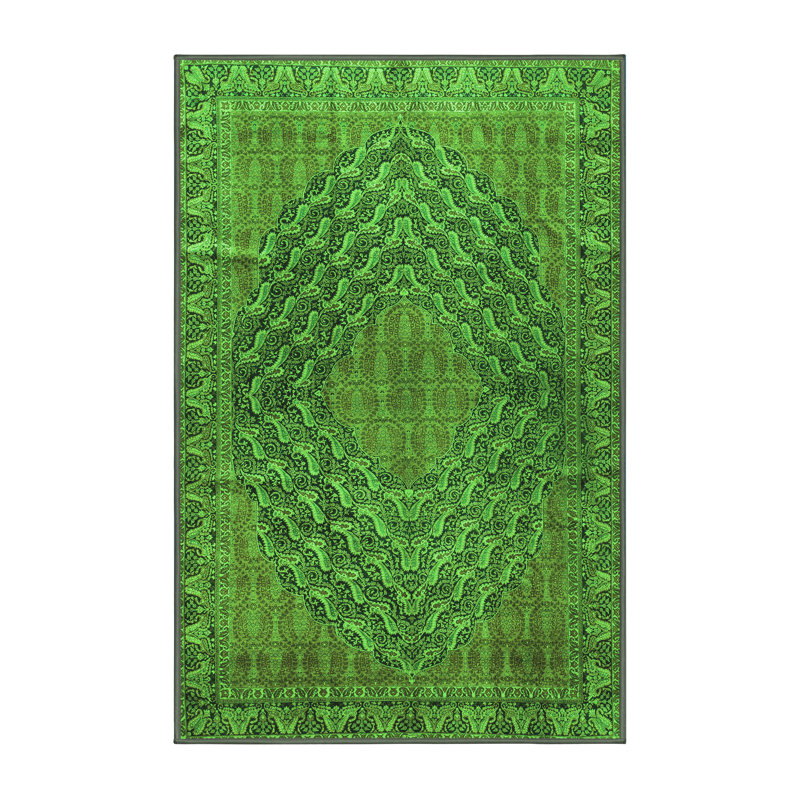 Washable Paisley Indoor Rug, Rectangle 2' x 4'