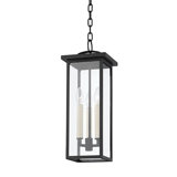 Eden 3 Light Pendant
