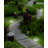 Stainless Steel Solar Powered Integrated LED Pathway Light Pack