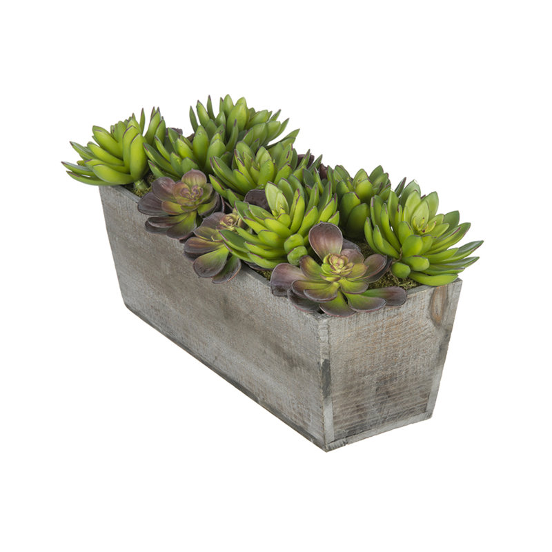 Succulent artificielle 4" en pot, Gris