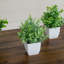 8 po Mini plantes artificielles en pot - ensemble de 4