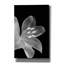 «Epil Graffiti» «Lily 3» par Life BeautifuLEE, art mural sur toile, 26 po x 40 po-1212540844