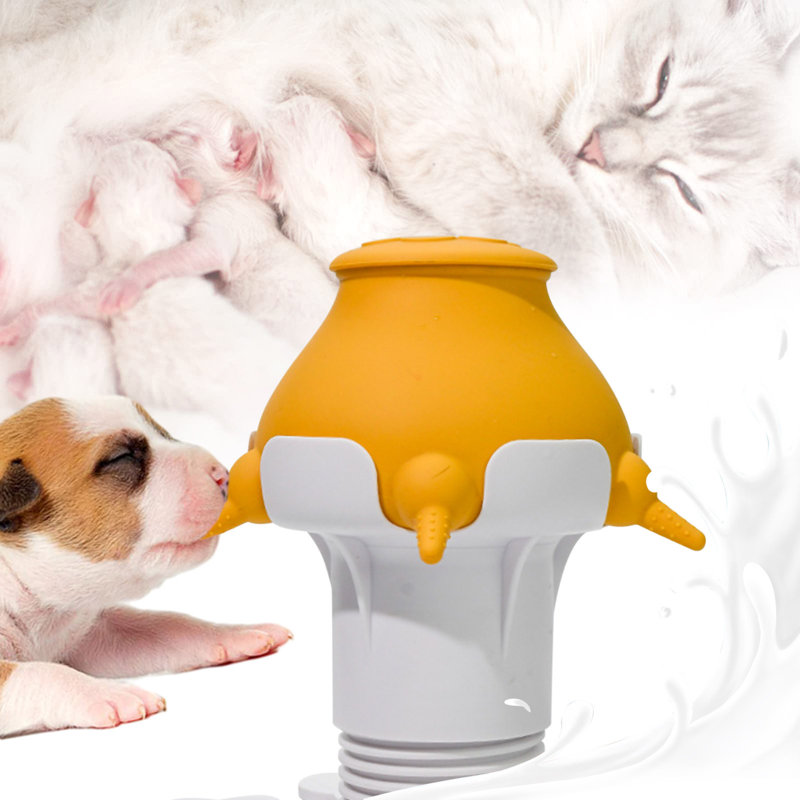 Bouteille d'eau Puppy, Jaune