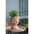 Head Bust Planter, Greek Style Cement Head Planter