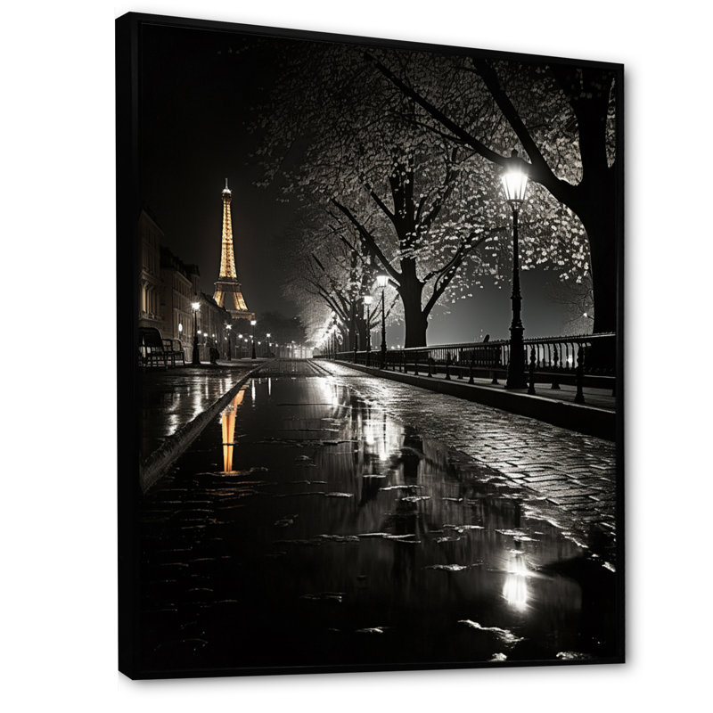 Parisian Moonlit Night I - Paris, reproduction d'art encadrée, H 32 po x l 16 po x P 1 po, Cadre flottant noir