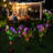 4 Color Solar Powered Flower Lights Pathway Lamp-98495879