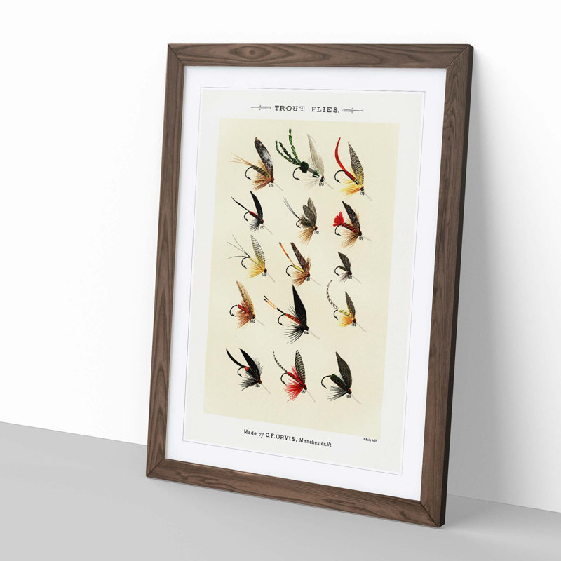 Trout Fishing Flies Version 1 by Mary Orvis Marbury - Picture Frame Painting Print, Walnut, 60cm H x 40cm W x 2cm D
