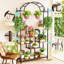 Adalet Plant Stand