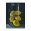 « citrons », reproduction de peinture à l’huile sur toile tendue-31453593
