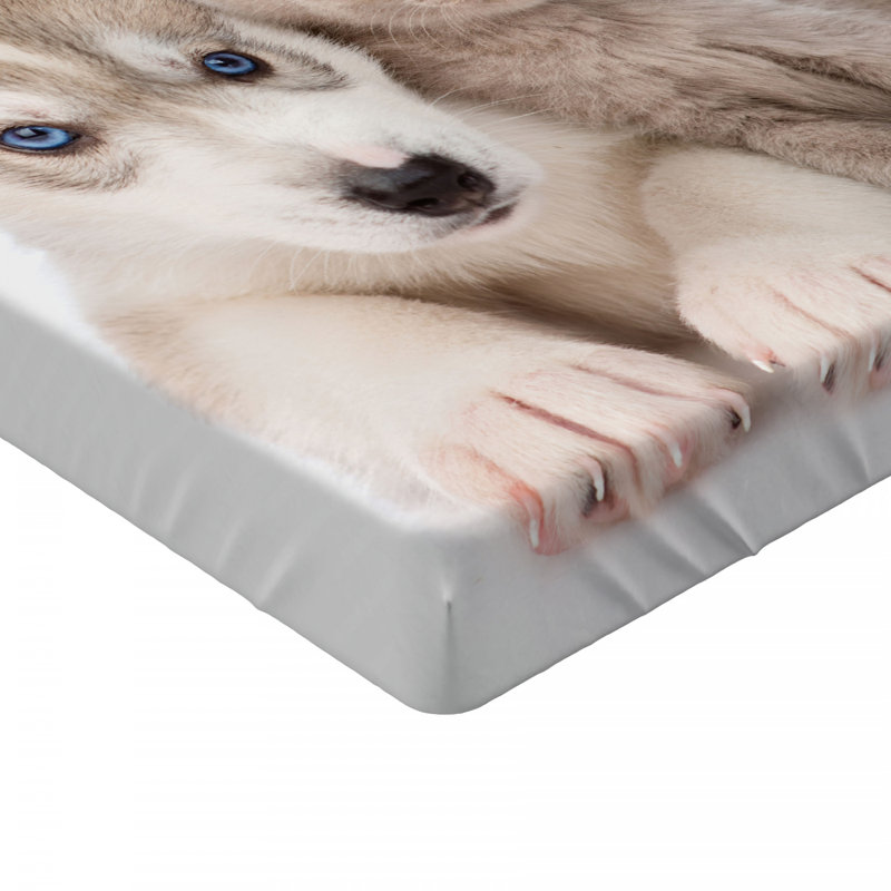 Microfiber Fitted Sheet, Queen Fitted Sheet