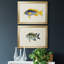 Collection de poissons tropicaux V - ensemble de 2 cadres photo-1972026862-1972026863