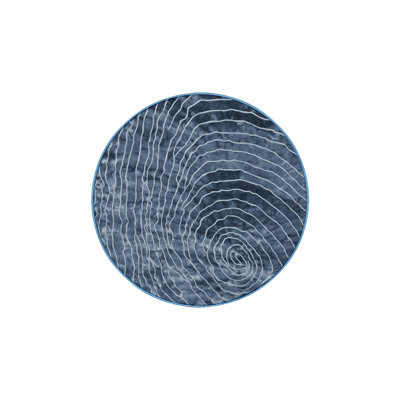Silky Soft Plush Blue Area Rug