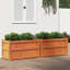 Wooden Kogut Flower Box-405243214-405712114-404620899