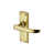 Polished Brass