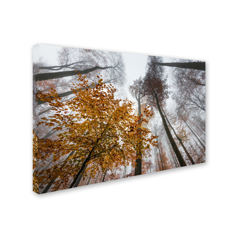« daydreamer », reproduction de photo sur toile tendue encadrée, H 16 po x l 24 po x P 2 po