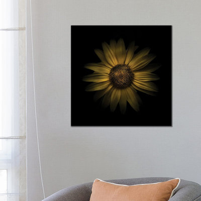 Yellow Daisy I by Brian Carson - Wrapped Canvas Print
